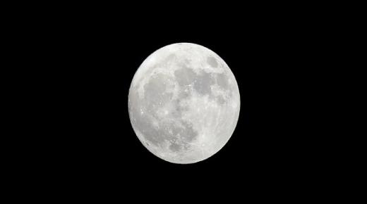 تكهنات حول توقيع رجل أعمال ياباني عقد مع شركة فضاء أمريكية للقيام برحلة حول القمر