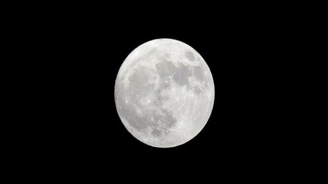 تكهنات حول توقيع رجل أعمال ياباني عقد مع شركة فضاء أمريكية للقيام برحلة حول القمر