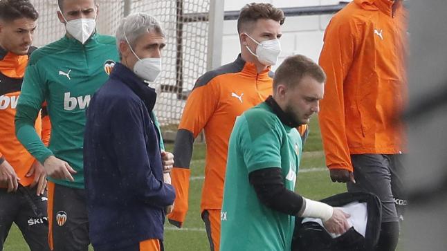 سيليسين يهاجم مدرب منتخب هولندا بعد استبعاده من قائمة المنتخب المشاركة في اليورو