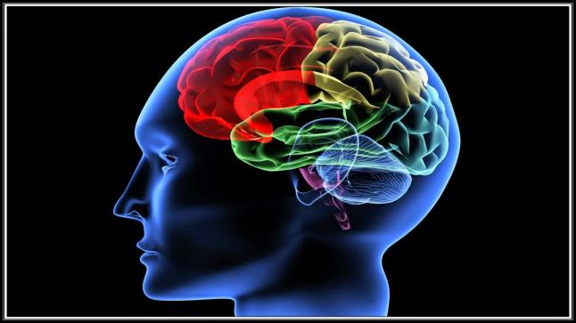 إقتراح جهاز جديد لربط العقل بالكمبيوتر لعلاج السرطان